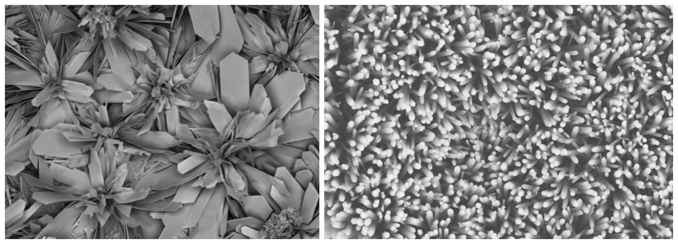 怎样让自己的文章成为cover story?看封面设计师如何帮你中选