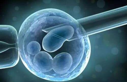 小鼠单核巨噬细胞白血病细胞；RAW 264.7