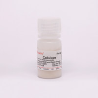 Cellulase 纤维素酶