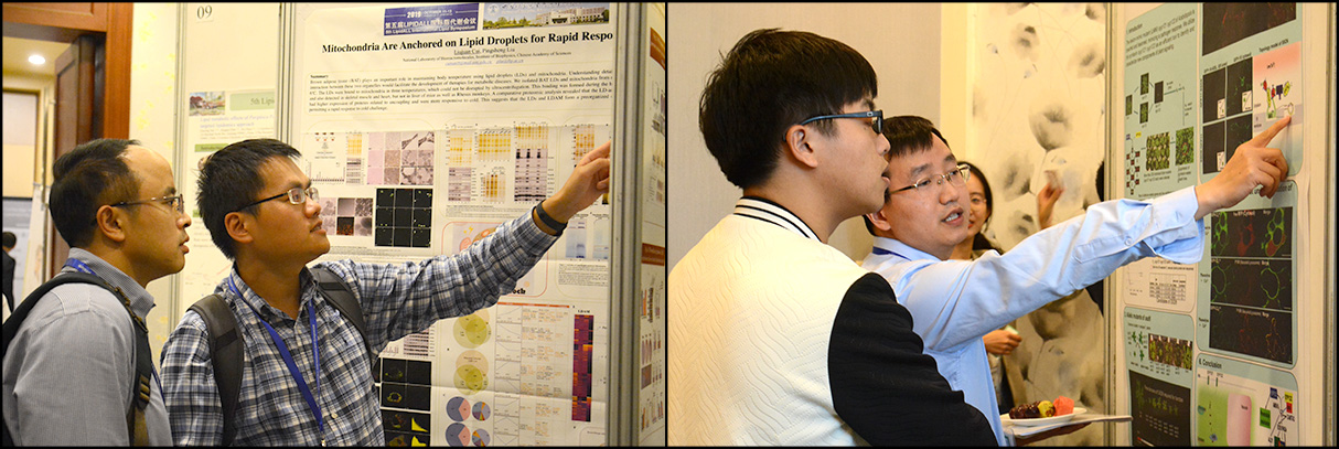 第五届LIPIDALL国际脂质代谢会议成功召开
