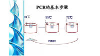 肺炎链球菌（SP）/肺炎双球菌核酸检测试剂盒(荧光-PCR法) 多少钱