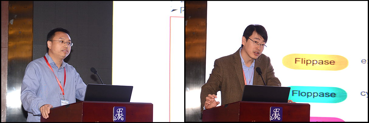 第五届LIPIDALL国际脂质代谢会议成功召开