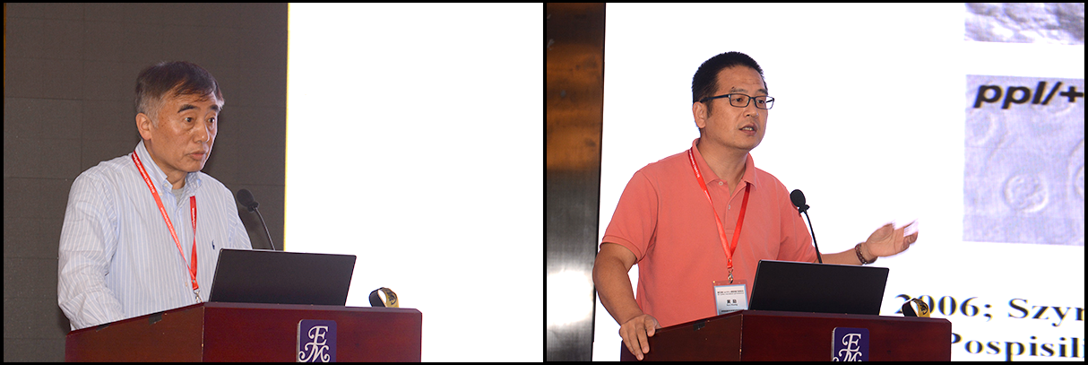 第五届LIPIDALL国际脂质代谢会议成功召开 