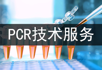 Cry1A（b/c）基因核酸检测试剂盒（PCR-荧光探针法）