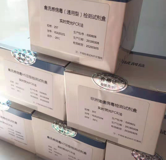 Semen pruni郁李仁PCR鉴定试剂盒  