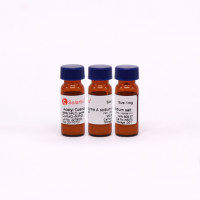 乙酰辅酶A;Acetyl CoA;Acetyl-S-CoA