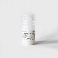 Agarose L.M.P 低溶点琼脂糖 9012-36-6