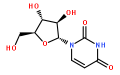 58-96-8尿苷价格