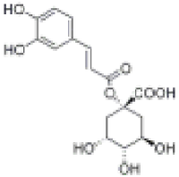 1241-87-81-咖啡酰奎宁酸价格