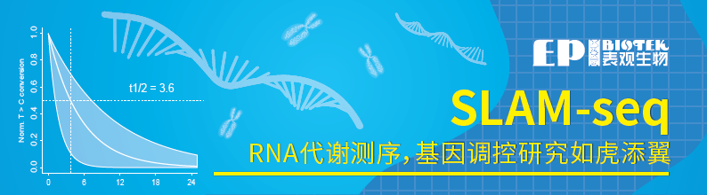 SLAM-seq服务(RNA代谢测序)