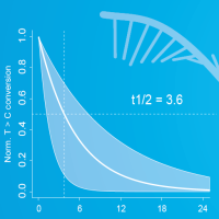 SLAM-seq服务（RNA代谢测序）