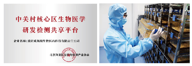 中国药大“燃·爆”青春！