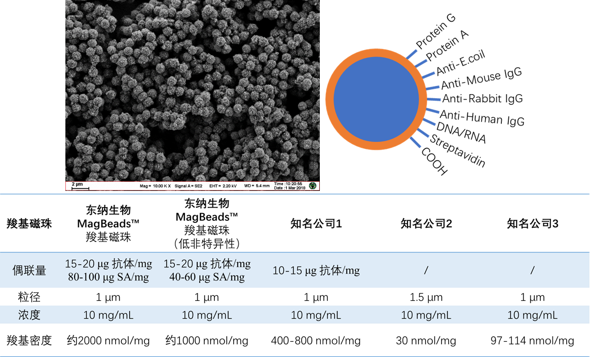 双十一科研大促 磁学明星产品介绍