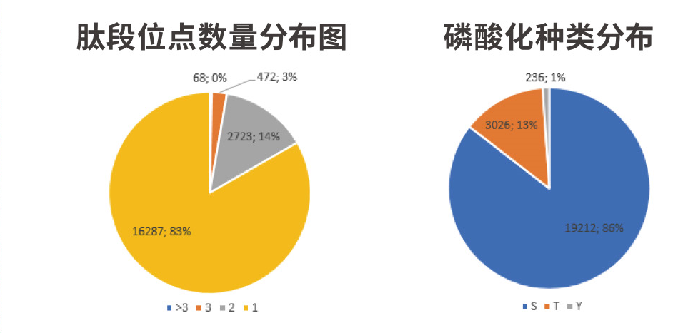 【1+1层层递进】蛋白质组学水稻DIA与水稻磷酸化DIA的碰撞