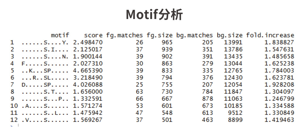 【1+1层层递进】蛋白质组学水稻DIA与水稻磷酸化DIA的碰撞
