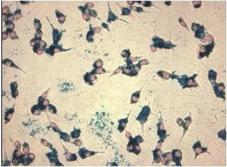 双十一科研大促 磁学明星产品介绍