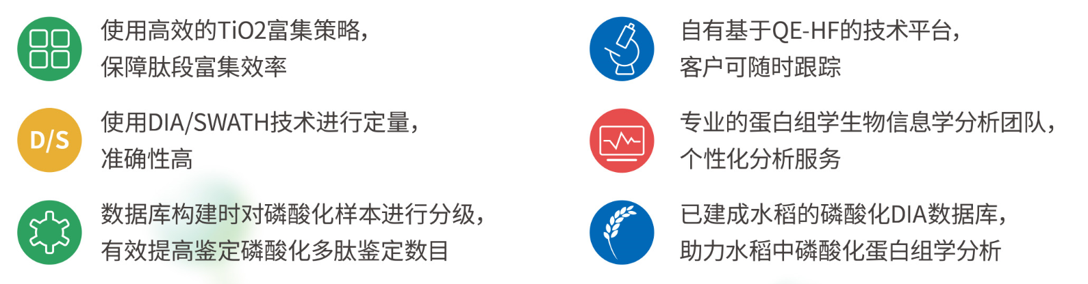 【1+1层层递进】蛋白质组学水稻DIA与水稻磷酸化DIA的碰撞