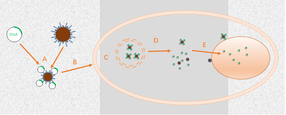 双十一科研大促 磁学明星产品介绍