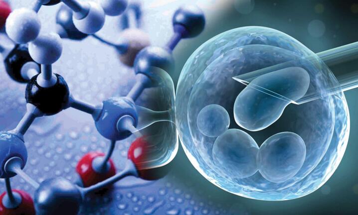 小鼠胚胎干细胞培养基 