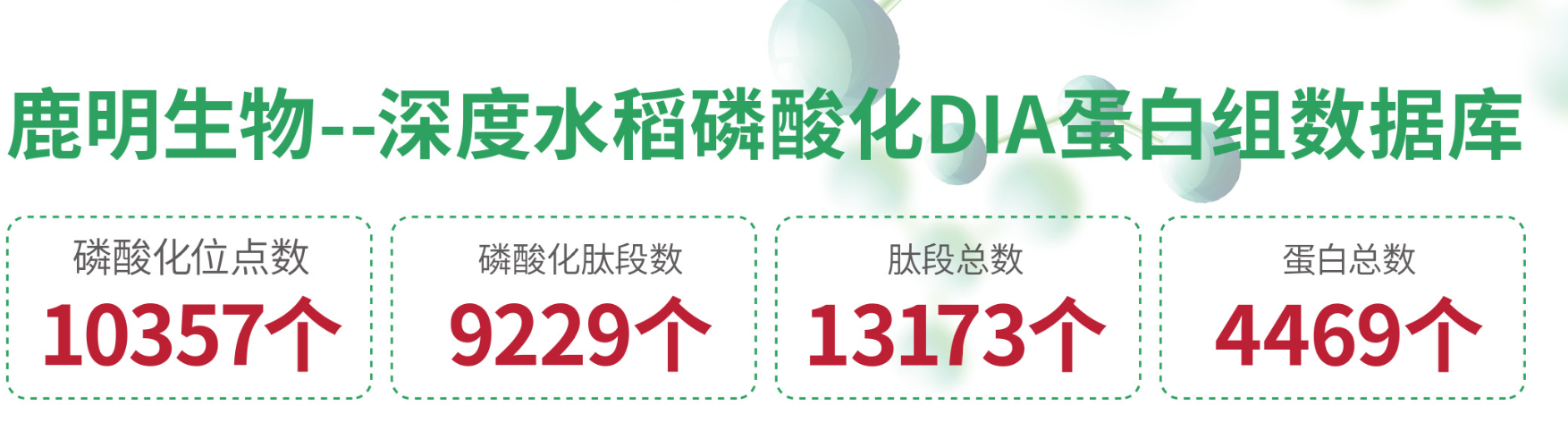 【1+1层层递进】蛋白质组学水稻DIA与水稻磷酸化DIA的碰撞