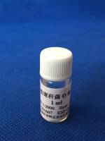 兔抗伤寒杆菌O血清