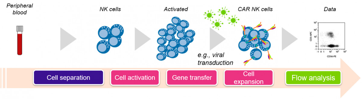 肿瘤免疫治疗新方向：CAR-NK