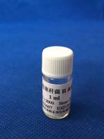 兔抗伤寒杆菌H血清