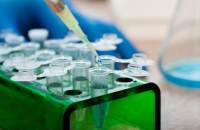 热启动化学修饰染料法qPCR Mix 含UDG