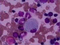 P3X63-Ag8.653供应商