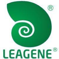 碱性磷酸酶染色液