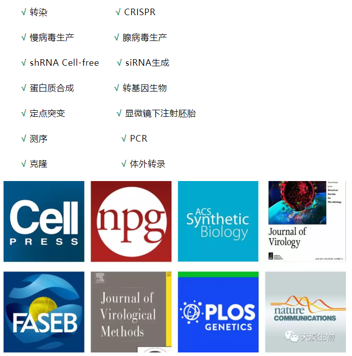 新闻图片18