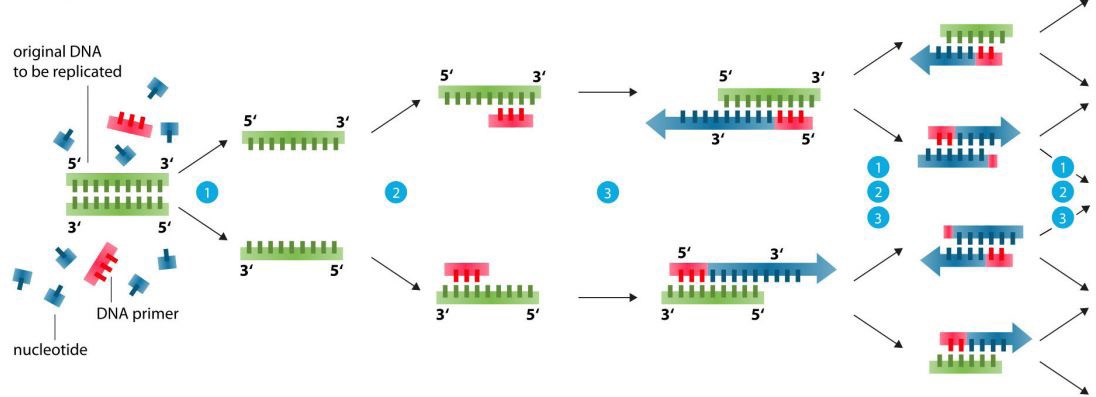 实时荧光定量PCR检测仪