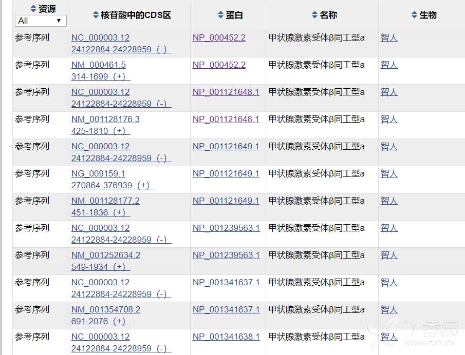 过表达载体构建 - 丁香园论坛