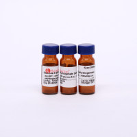 G6P-DH 6-磷酸葡萄糖脱氢酶