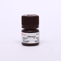 Rifampicin 利福平
