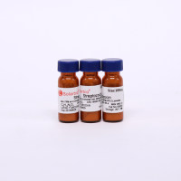 Streptozocin (STZ) 链脲佐菌素