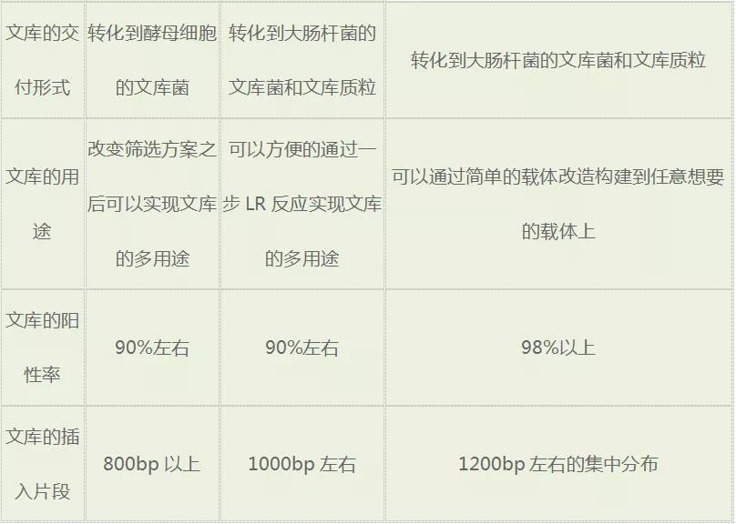 文库构建