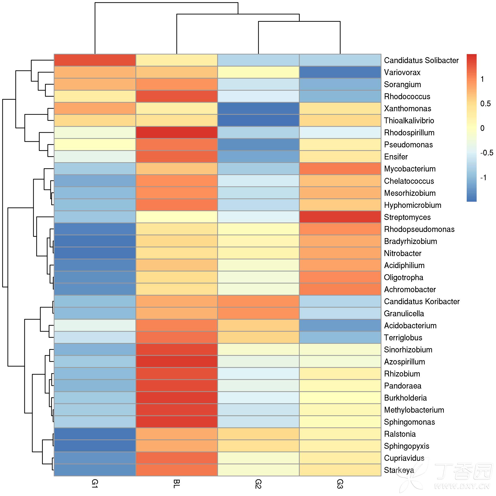 如何选择肠道菌群的研究手段(二)——宏基因组 【肠菌研究方法系列