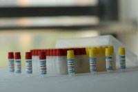 猴肝微粒体 Monkey Liver Microsomes