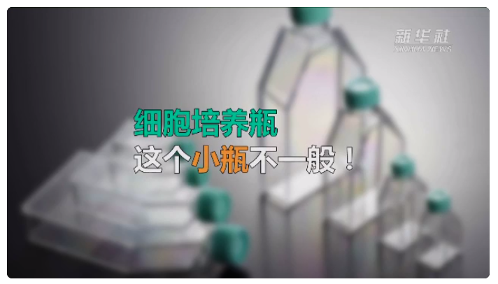 能长细胞？这些小瓶、小支架可不简单！