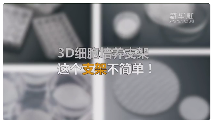 能长细胞？这些小瓶、小支架可不简单！