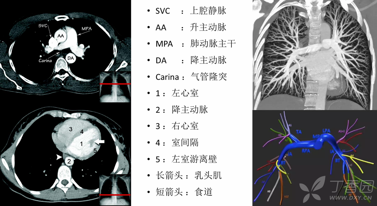 天然呆杀手全文免费阅读 天然呆杀手之再续归来