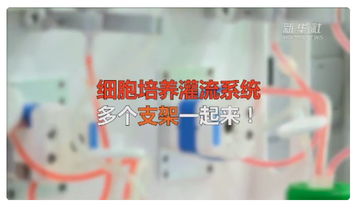 能长细胞？这些小瓶、小支架可不简单！