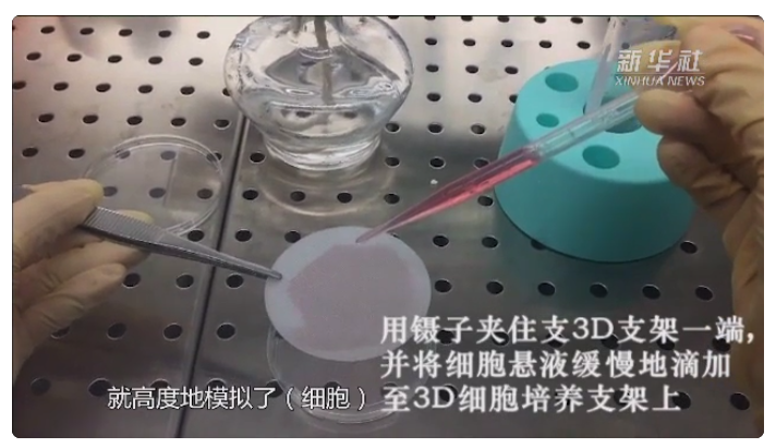 能长细胞？这些小瓶、小支架可不简单！
