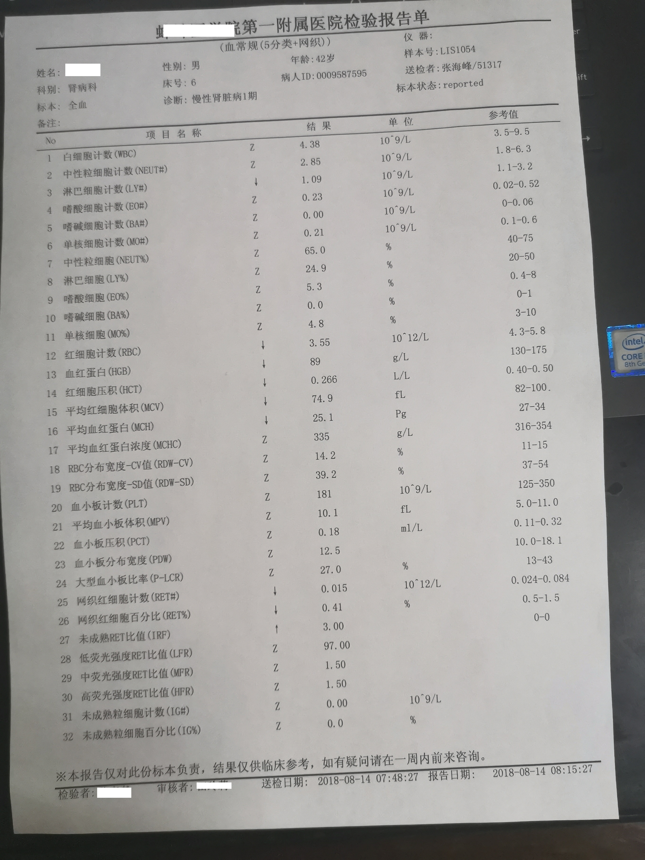 重度贫血的诊断书图片