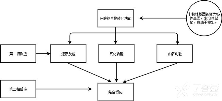 3378784670115784828-8w.jpg