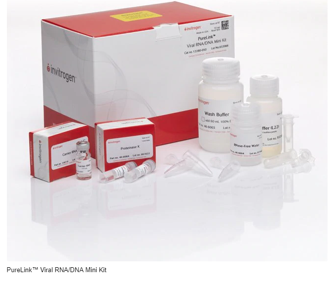 Invitrogen™ PureLink™ Viral RNA/DNA Mini Kit 12280050