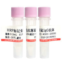 FITC标记兔抗生物素抗体北京价格