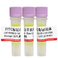 HA标签鼠源单克隆抗体优惠促销