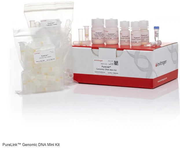 Invitrogen™ PureLink™ Genomic DNA Mini Kit K182001